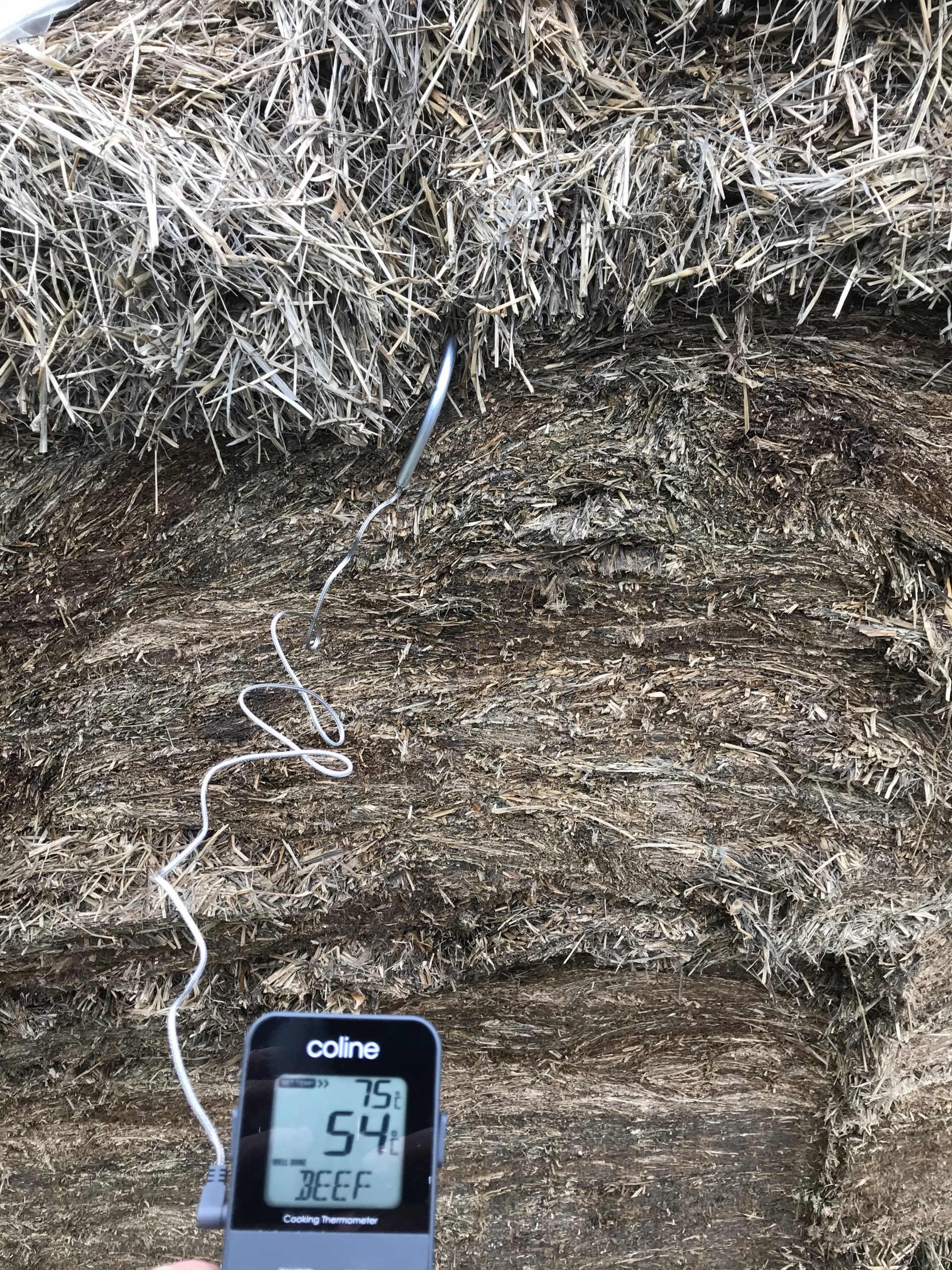 Heated-silage-scaled