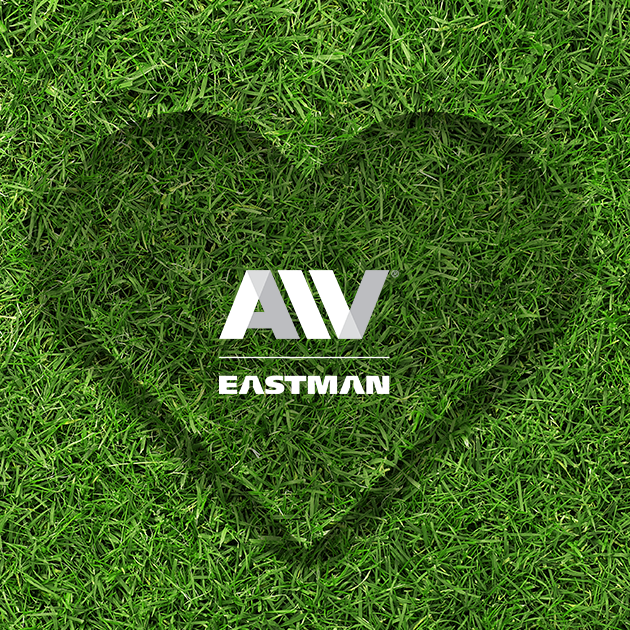 AIV Eastman 