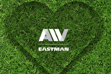 AIV Eastman 